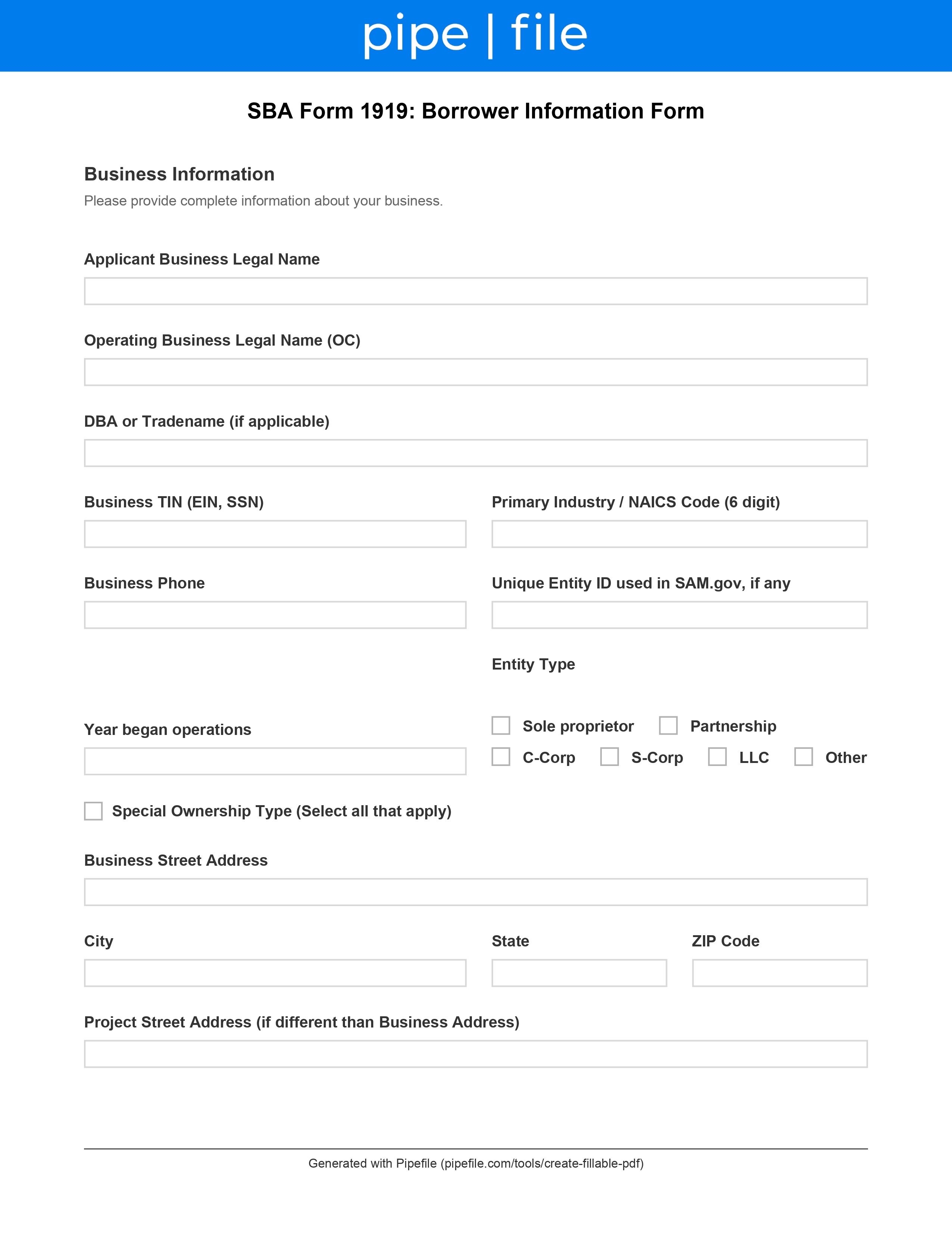 SBA Form 1919 Checklist: Borrower Information Form Guide form template preview